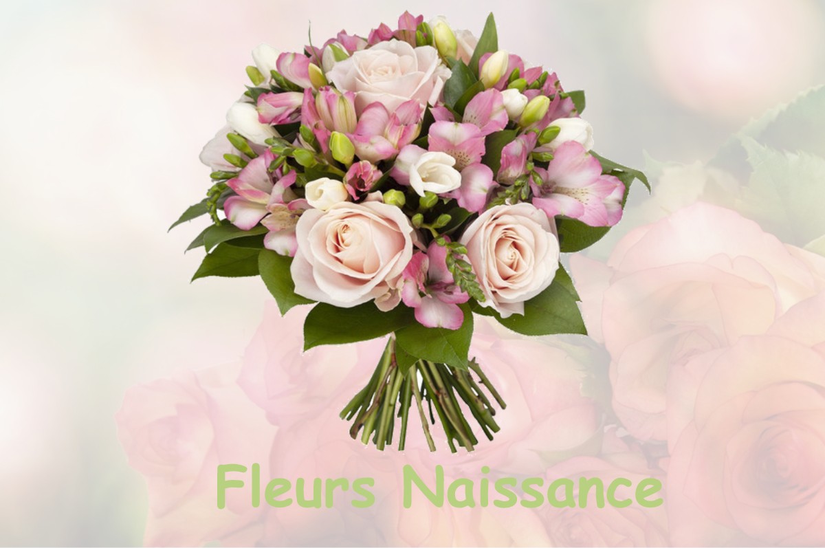 fleurs naissance SAINT-IGNAN