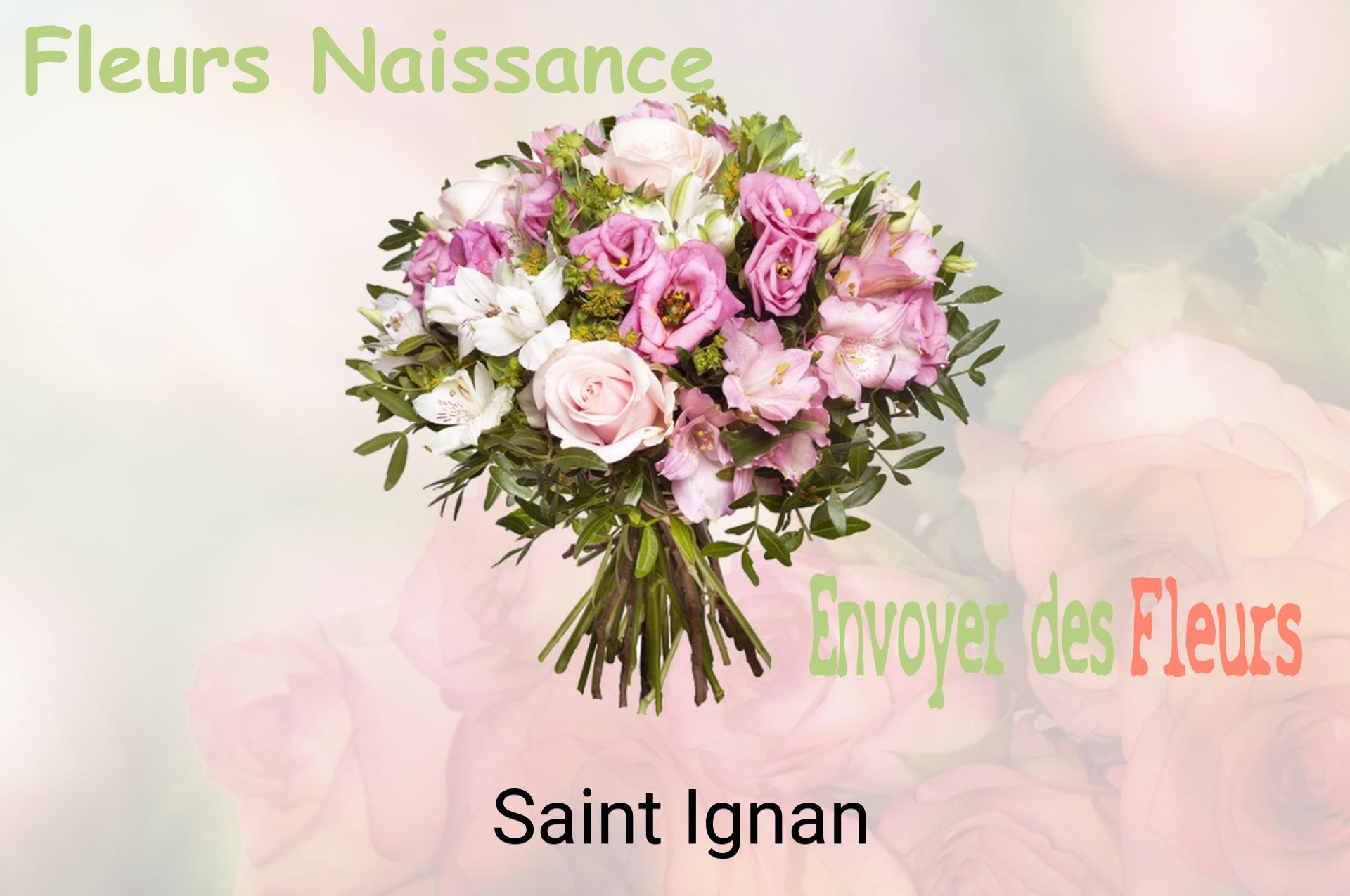 Bouquet de fleurs de naissance livré à Saint-Ignan