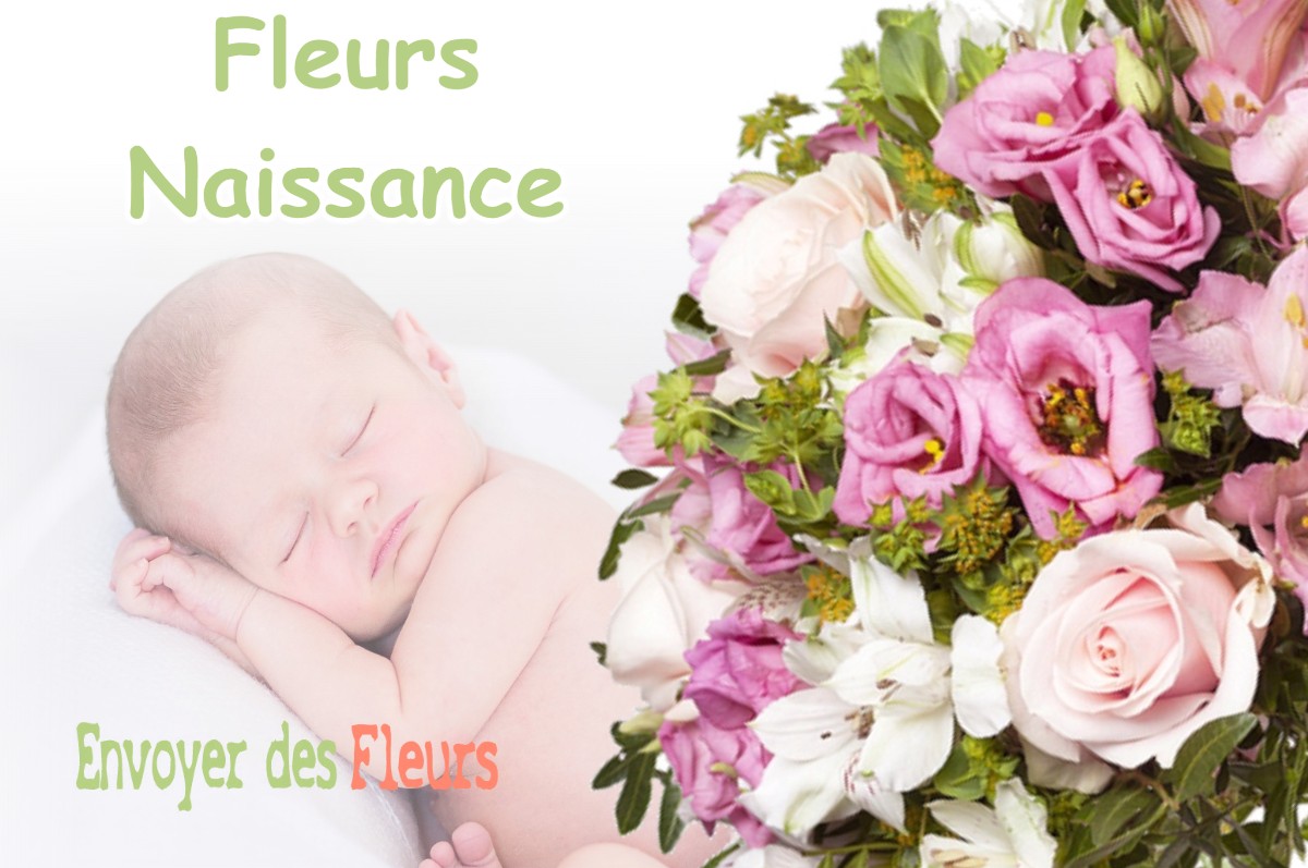 lIVRAISON FLEURS NAISSANCE à SAINT-IGNAN